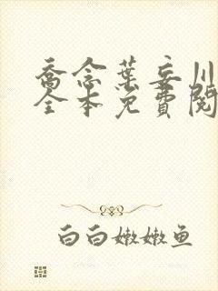 乔念叶妄川小说全本免费阅读最新