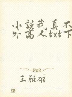 小说我真不是世外高人txt下载