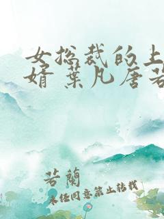 女总裁的上门女婿 叶凡唐若雪