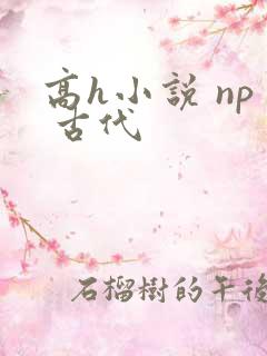 高h小说 np 古代