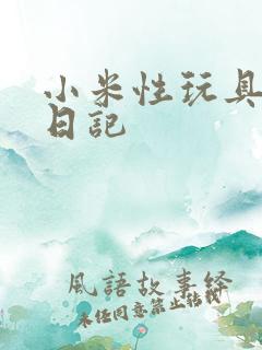 小米性玩具羞辱日记