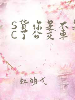 S货你是不是欠C了公交车