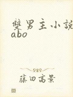 双男主小说推荐abo