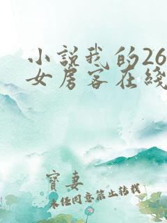 小说我的26岁女房客在线阅读