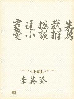 霸道总裁先婚后爱小说推荐