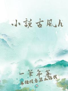 小说古风h