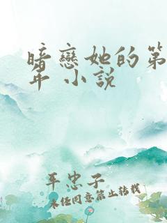 暗恋她的第十一年 小说