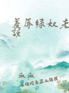 羞辱绿奴老公小说