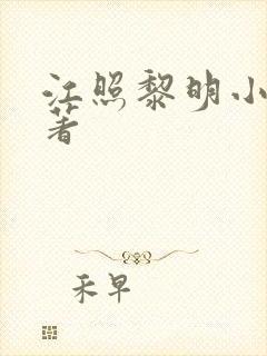江照黎明小说原著