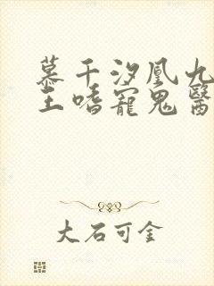 慕千汐凰九夜邪王嗜宠鬼医狂妃
