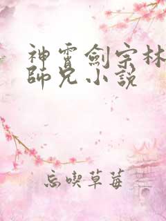 神霄剑宗林枫大师兄小说