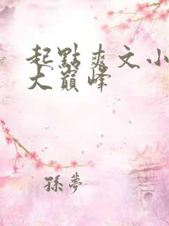 起点爽文小说十大巅峰