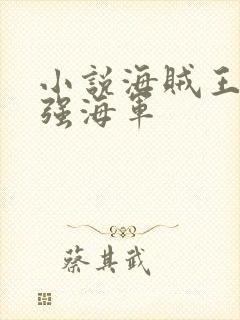 小说海贼王之最强海军