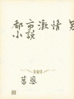 都市激情 另类小说