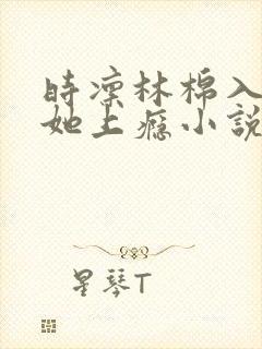 时凛林棉入夜对她上瘾小说免费阅读全文
