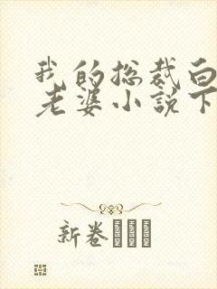 我的总裁白富美老婆小说下载