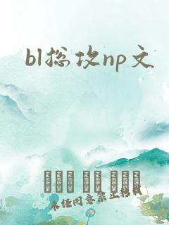 bl总攻np文