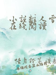 小说离人雪满襟在线阅读