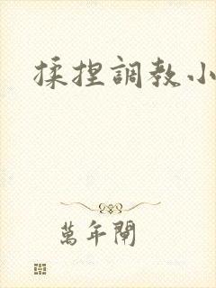 揉捏调教小说