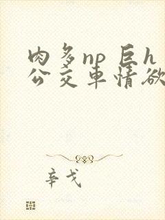 肉多np 巨h公交车情欲