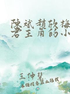 陈斌赵欣梅高婉君主角的小说