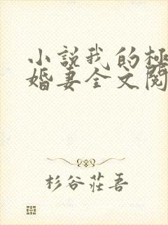 小说我的极品未婚妻全文阅读