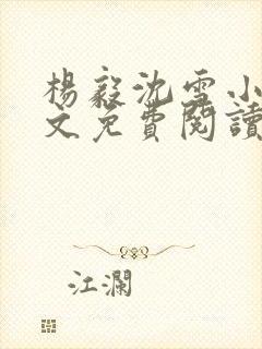 杨毅沈雪小说全文免费阅读