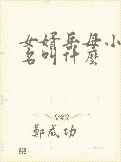 女婿岳母小说书名叫什么