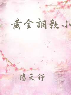 黄金调教小说