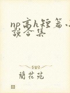 np高h短篇小说合集
