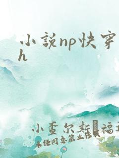 小说np快穿高h
