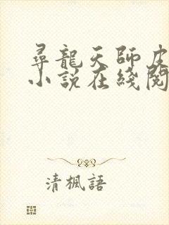 寻龙天师皮剑青小说在线阅读