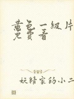黄色一级片在线免费看