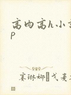 高肉高h小说np