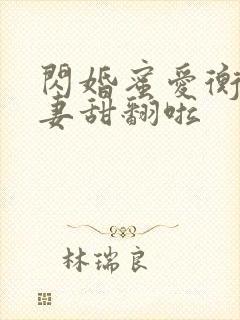 闪婚蜜爱衡爷宠妻甜翻啦