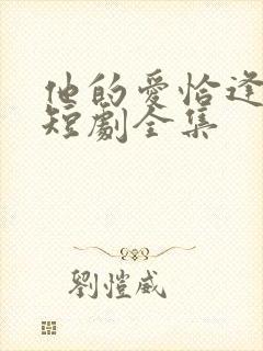 他的爱恰逢其时短剧全集