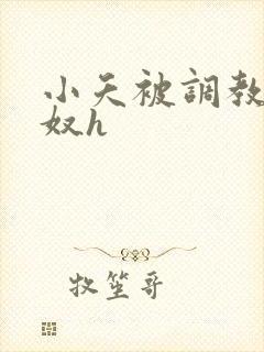 小夭被调教成肉奴h