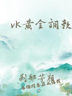 vk黄金调教