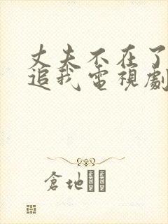 丈夫不在了老公追我电视剧免费观看
