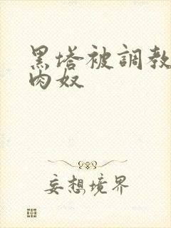 黑塔被调教成了肉奴