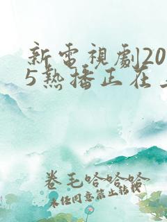 新电视剧2025热播正在上映的有哪些