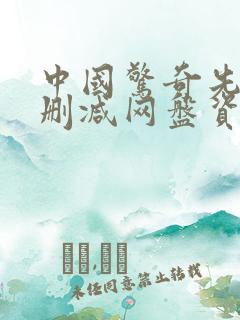 中国惊奇先生无删减网盘资源