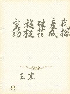 家族破产我保养的校花成总裁
