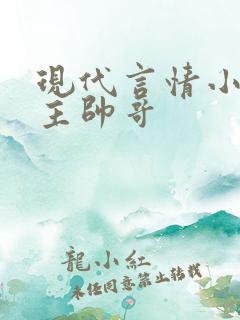 现代言情小说男主帅哥