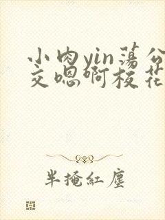 小肉yin荡公交嗯啊校花视频