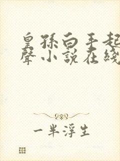 皇孙白手起家有声小说在线听