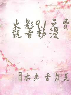火影9.1免费观看动漫