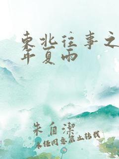东北往事之二十年夏雨