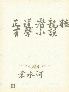 正道潜龙听书网有声小说