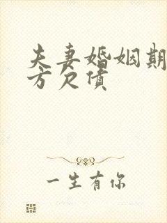 夫妻婚姻期间一方欠债